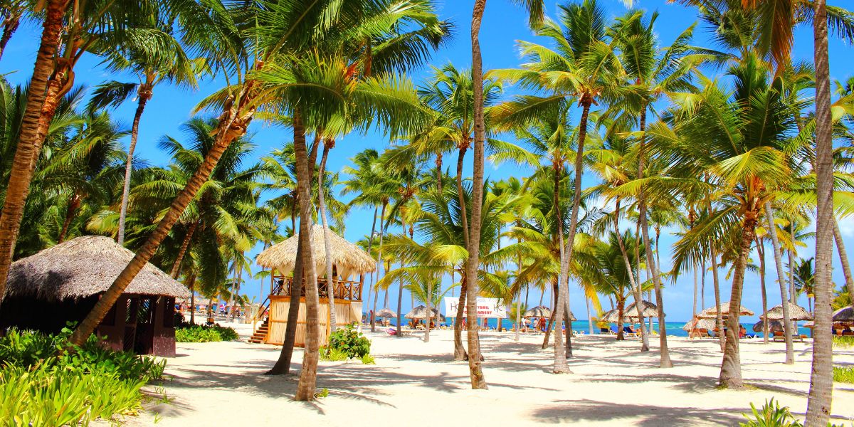 des plages paradisiaques