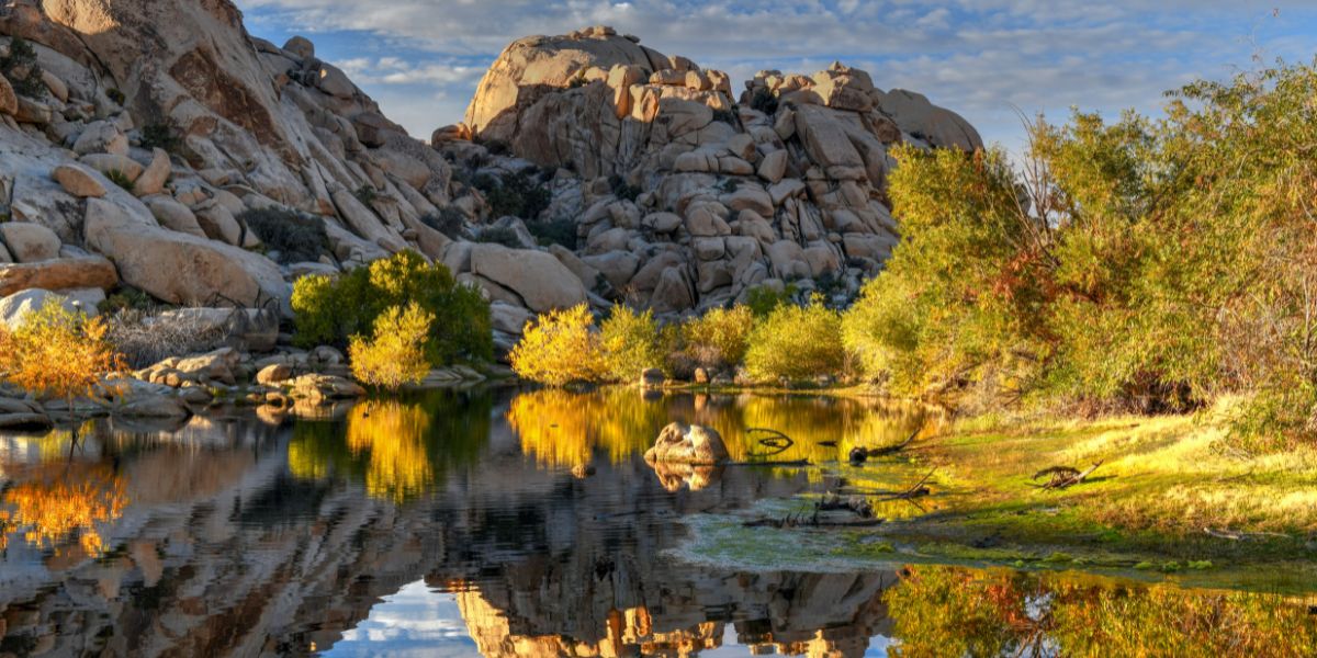 parc national de Joshua Tree